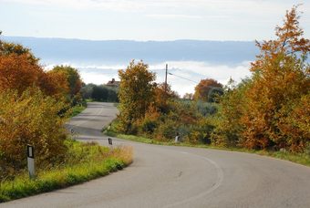 Agroturismo Agriturismo Walden