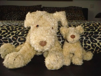 Bed & Breakfast Villa Eden