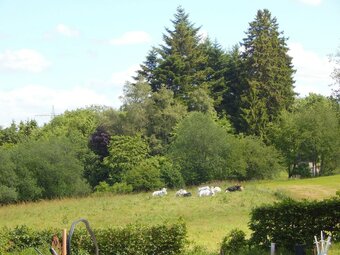 Striking Apartment In Buchet Germany Near Lake