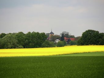 Spacious Holiday Home In Frankenfelde With A Large Terrace And A Fantastic View
