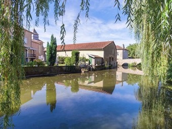 Magnificent Castle At A Unique Location In Pressac, With A Shared Swimming Pool