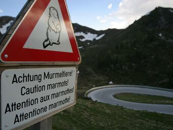 Apartamentos Comfy Holiday Home With Garden, Heating, Garden Furniture