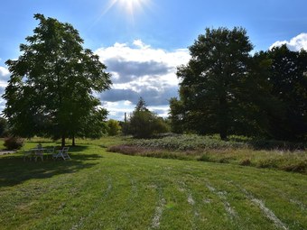Particularly Beautiful And Stylish House With Large Garden And Swimming Pool