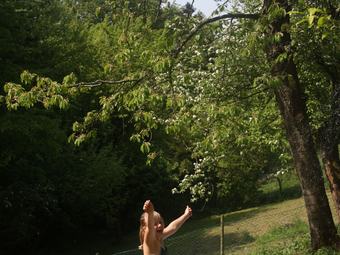 Vintage Holiday Home In Bad Pyrmont With Private Terrace