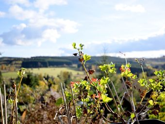 Beautiful Chalet On A Camping, With Different Terraces And A Beautiful View