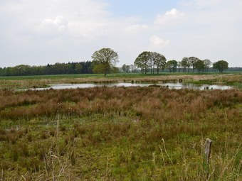 Cosy Holiday Home In Beerze With Terrace