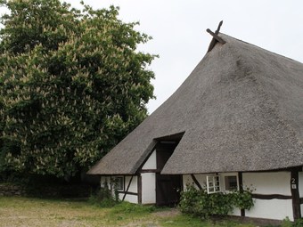Quaint Apartment In Reddelich With Sauna