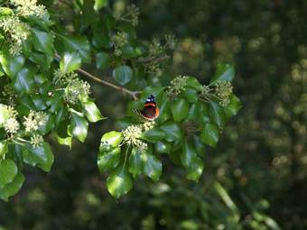 Comfortable Holiday Home Near The Beach In Cultural/historic Surroundings