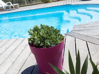 Spacious Villa, Plenty Of Privacy, Private Swimming Pool Surrounded By Vineyards