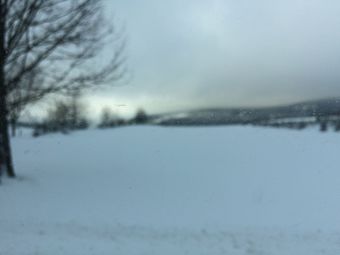 Spacious Holiday Home In Neukirchen With Forest Near