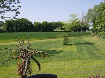 Staying In A Thatched Barn With Box Bed, Beautiful View, Region Achterhoek