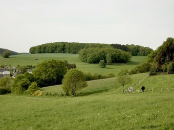 Cozy Apartment In Birkenbeul With Private Terrace
