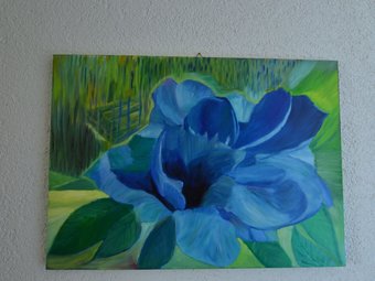 Apartamentos A Comfortable Holiday Home In The Eifel Region