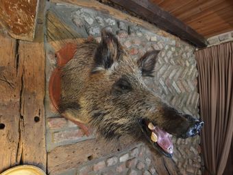 Picturesque Holiday Home In Petites Tailles With Garden