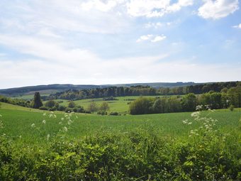 Amazing Holiday Home In Sainte-ode With Garden