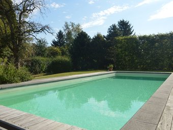 Charming Cottage With Private Swimming Pool In Limbourg