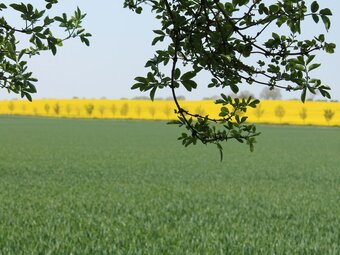 Cozy Apartment Near The Sea In Warin