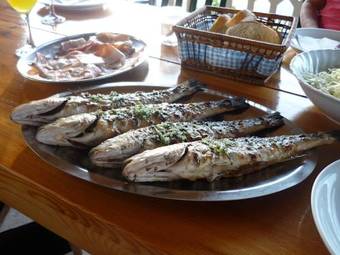 Hostal Guesthouse Tariba