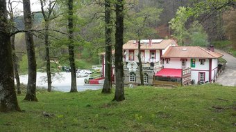 Hostal Lizarrusti Parketxea