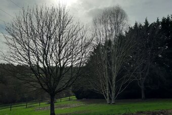 Bed & Breakfast Le Pr� Aux Biches