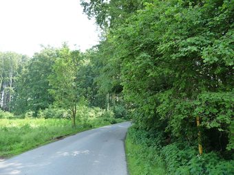 Hotel Star Hill Villa Resort House