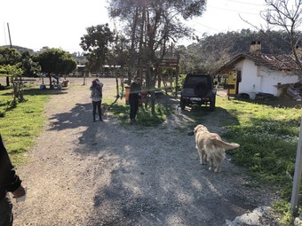 Hotel Zirkon Doga Butik Otel - Adults Only