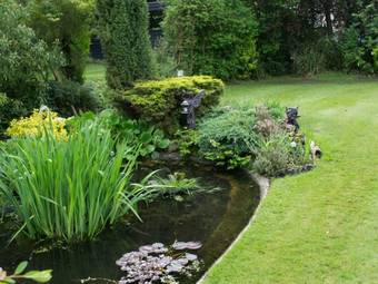 Woodview Bed & Breakfast