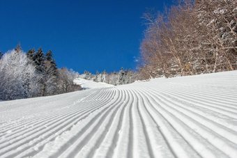 Apartamento The Black Bear Lodge At Stratton Mountain Resort