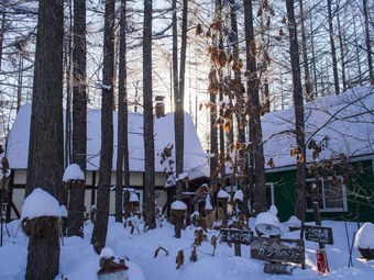 Hotel The Squirrel's Guesthouse Canterbury