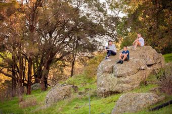Cabana Evedon Park Bush Retreat