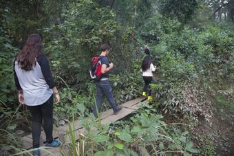 Hotel Green Mansions Jungle Resort