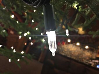 Posada Callahan's Mountain Lodge