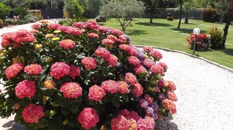 Villa La Casa Di Siro