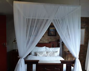 Hotel Hornbill House