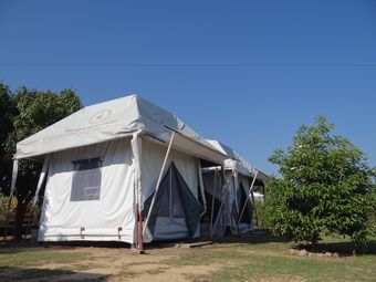 Hotel The Camping Field