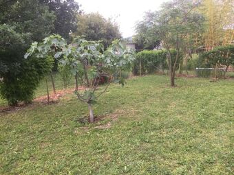 Hotel B&B San Giorgio