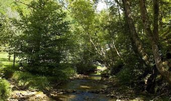 Hotel H�tel Auberge Du Morge