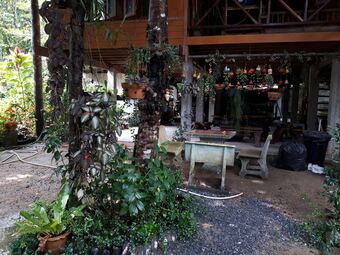 Hotel Petchkiri Homestay