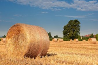Agroturismo Agriturismo Primaluna