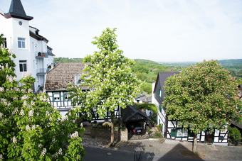 Hotel Haus Sonnenschein