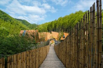 Hotel Tree Frog Tribe