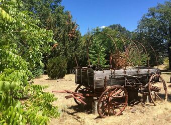 Romantic Rogue River Cottage ~ Near Del Rio Winery