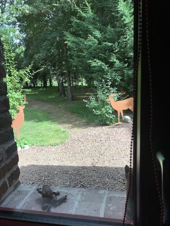 Hotel La Ferme Des Templiers De Fl�chinelle