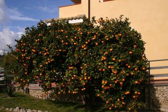 Agroturismo Agriturismo Simonello