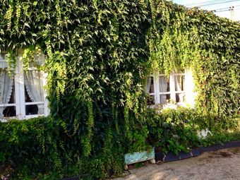 Bed & Breakfast Casa Lourido