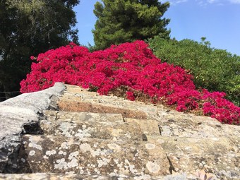 Villa With 4 Bedrooms In Augusta, With Private Pool, Enclosed Garden And Wifi - 42 Km From The Beach