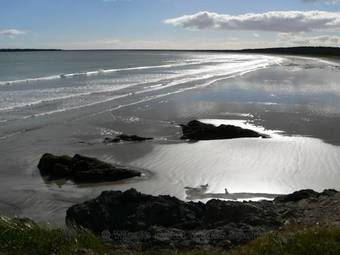 Cape Breton Cottages