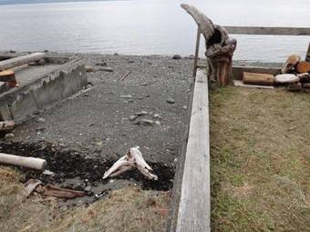 Apartamento Orca Lodge