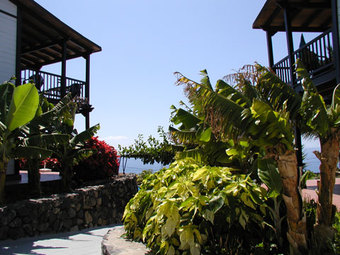 Apartamentos Santa Ana