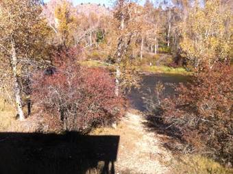 Noble House Suites B&B